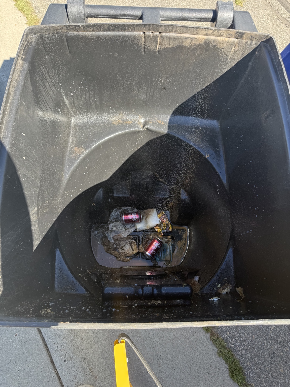 Black bin interior before cleaning